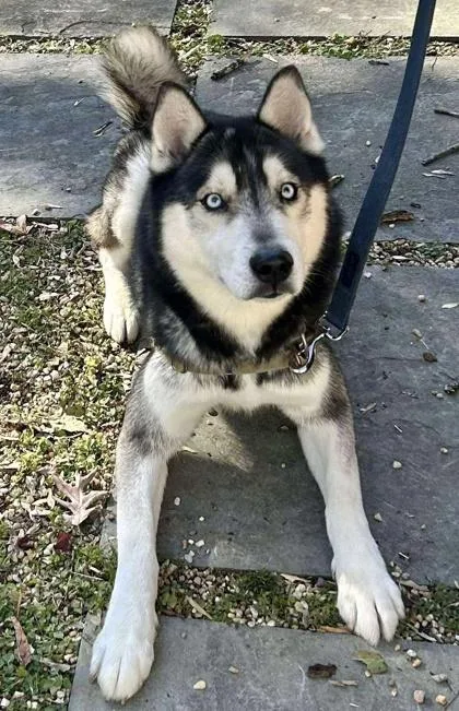 Ocean Blue thumbnail 2