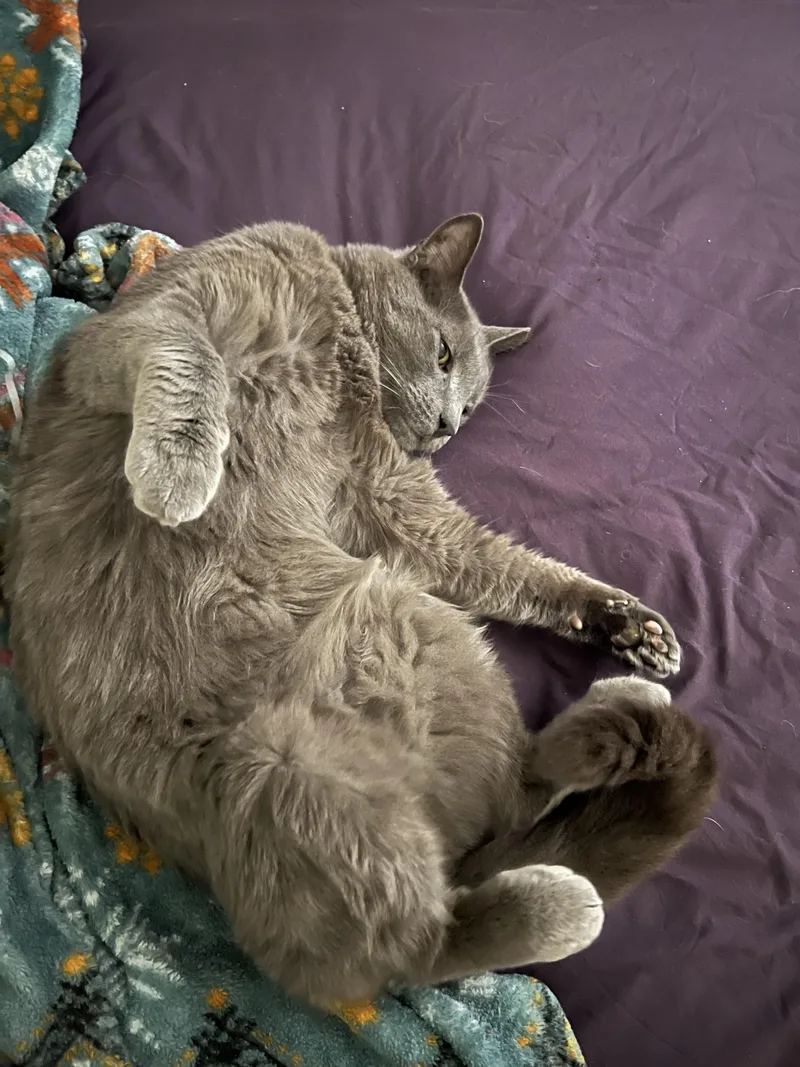 Mister Mateo thumbnail 2