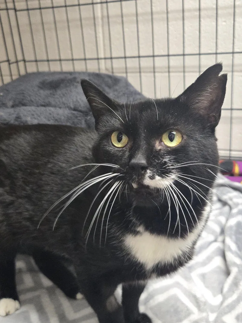 Scrabble thumbnail 2