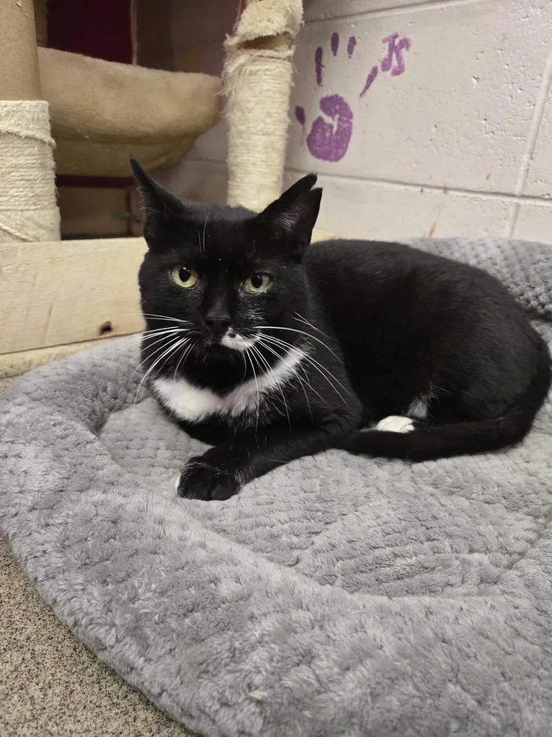 Scrabble thumbnail 5