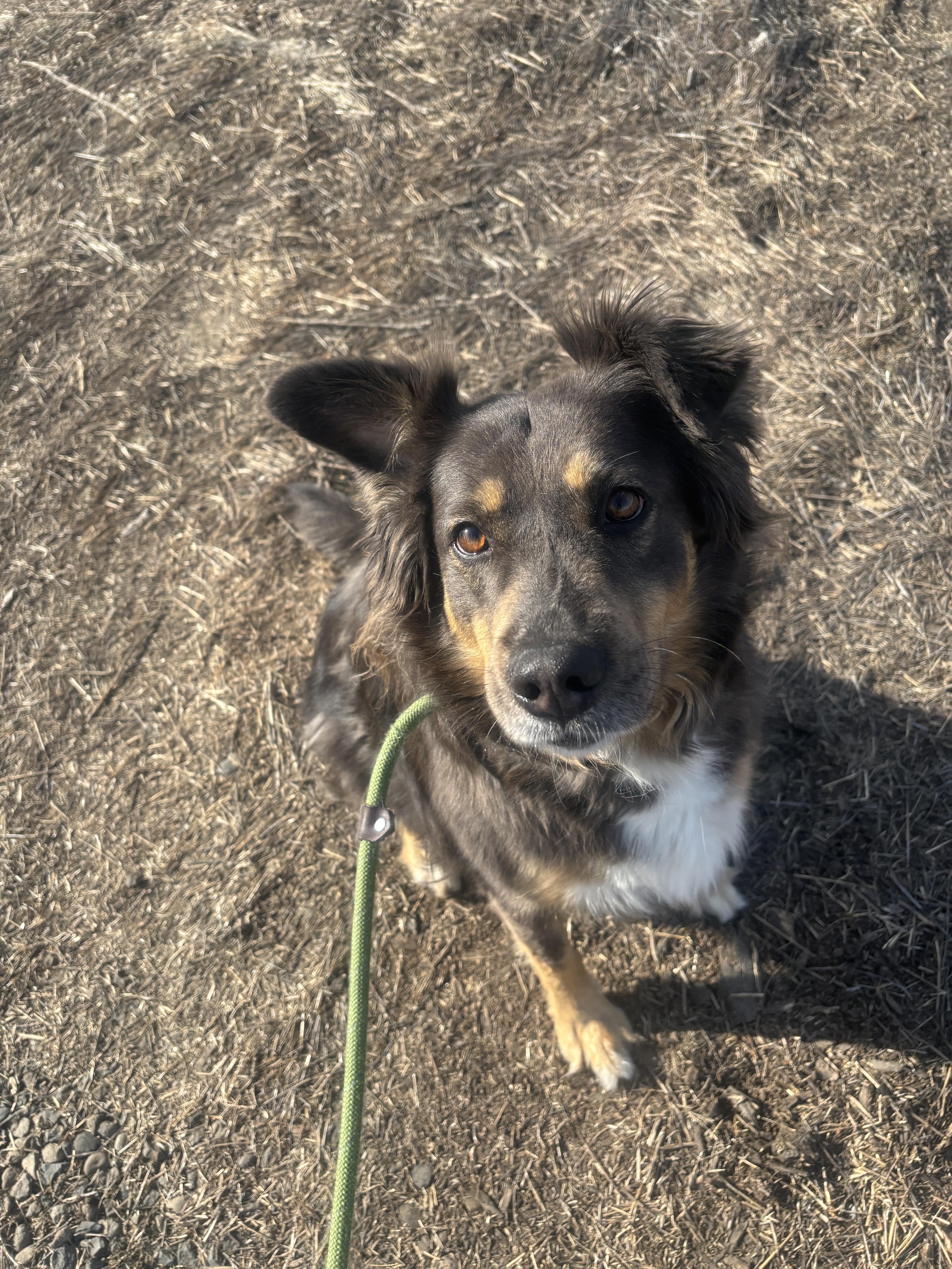 Lunabelle thumbnail 3