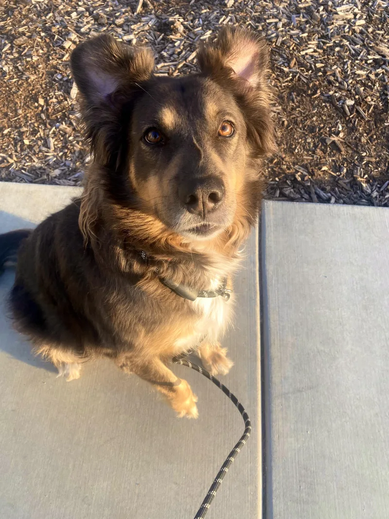 Lunabelle thumbnail 4