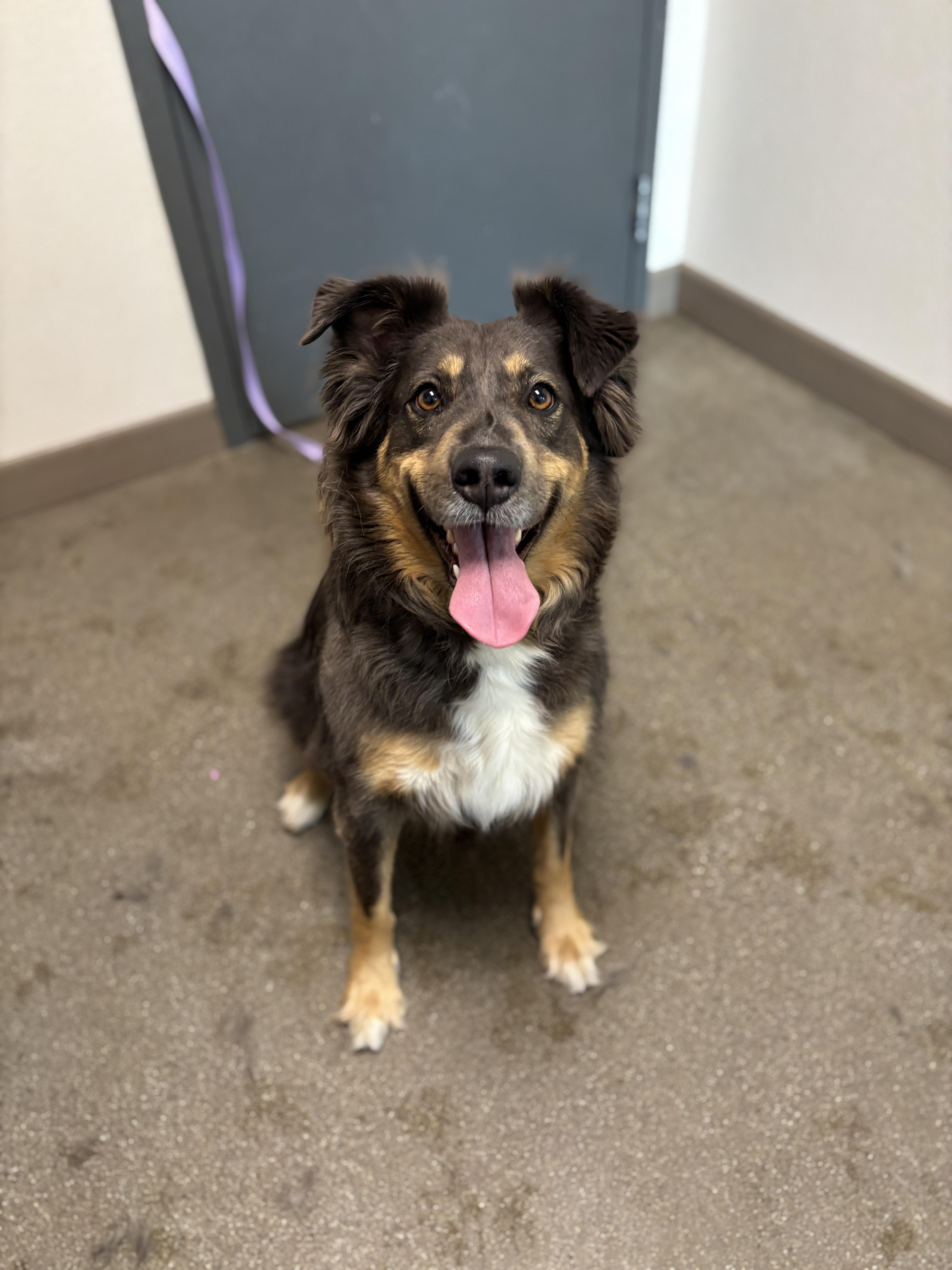 Lunabelle thumbnail 5