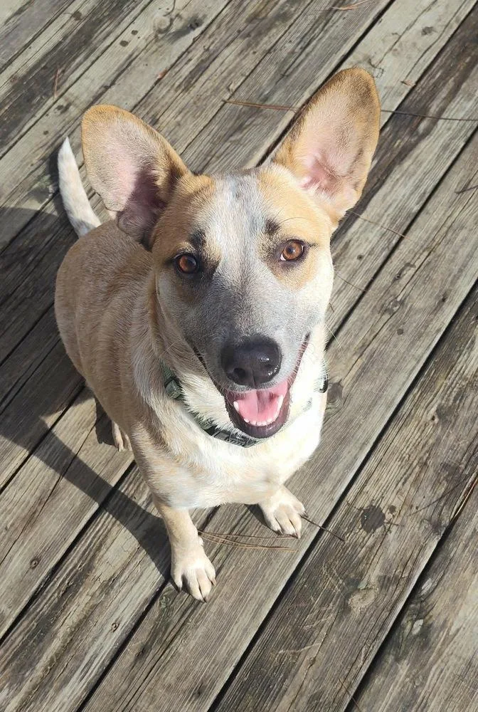 Gretchen thumbnail 2