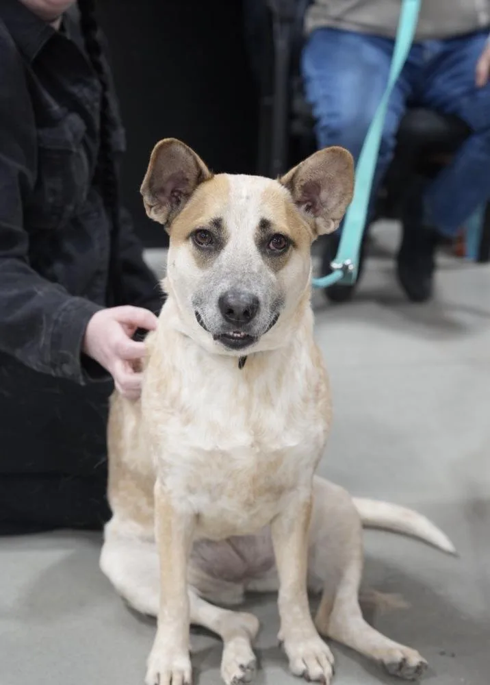 Gretchen thumbnail 4