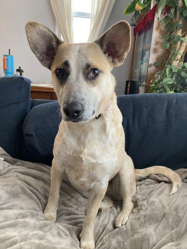 Gretchen thumbnail 6