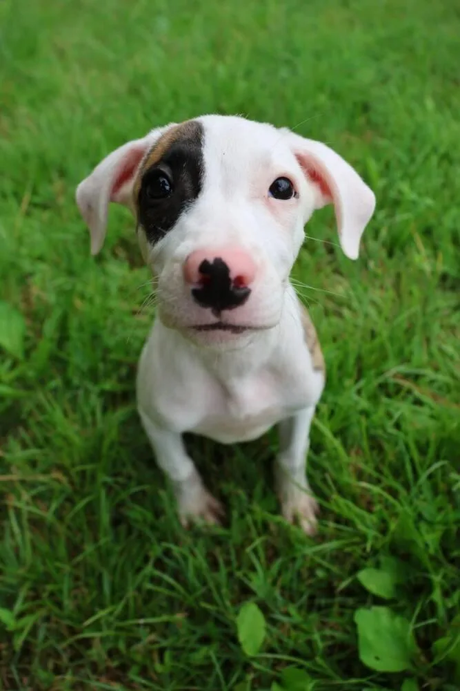 Tiny