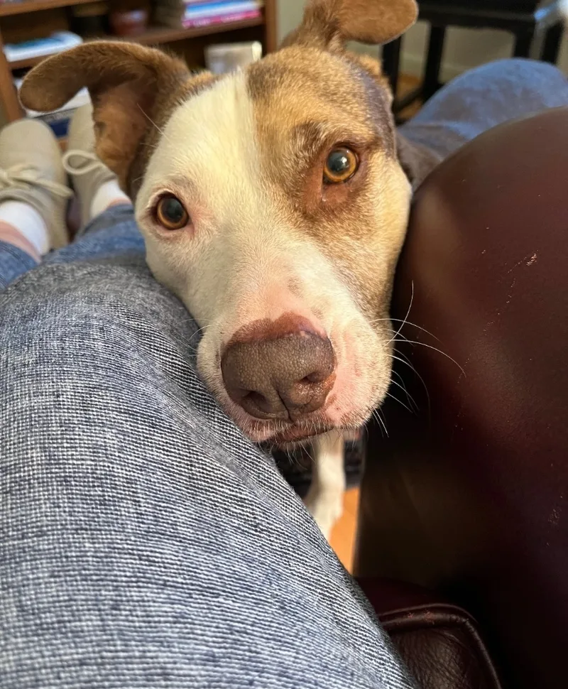 Dr. Zeus thumbnail 4