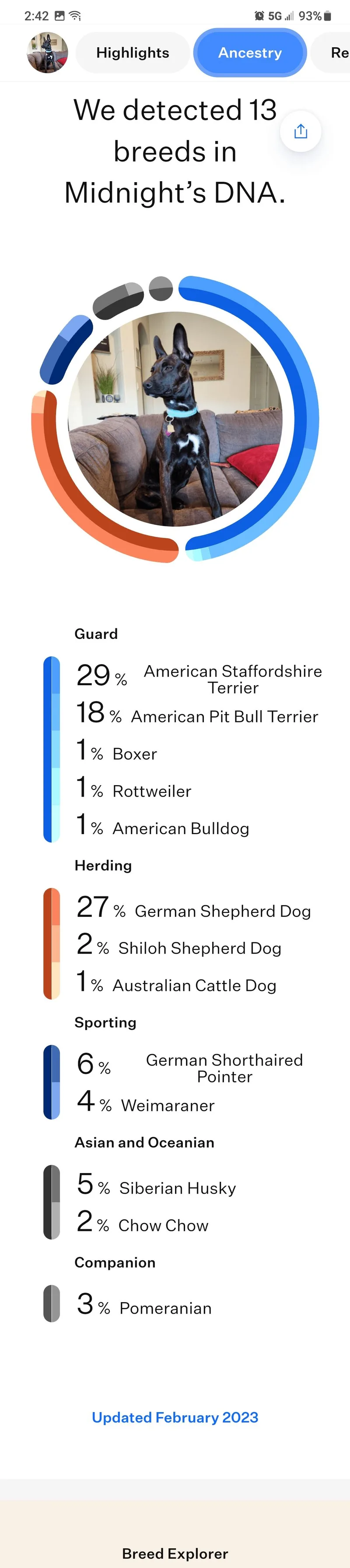 Midnight thumbnail 2