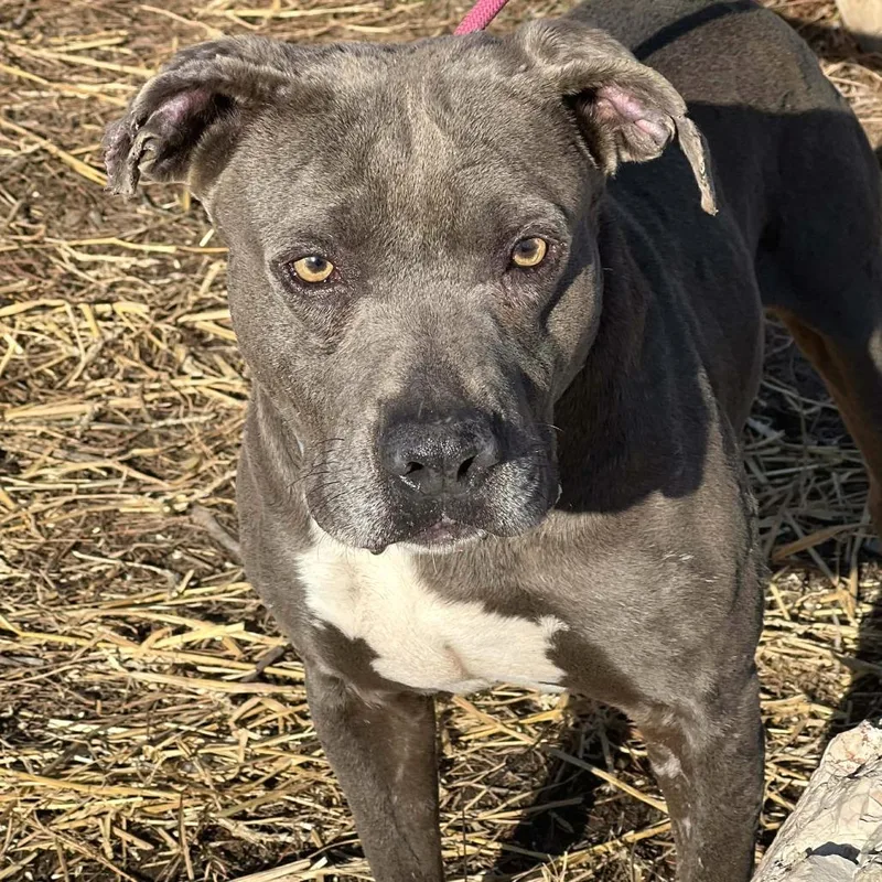 Delightful Derek thumbnail 2