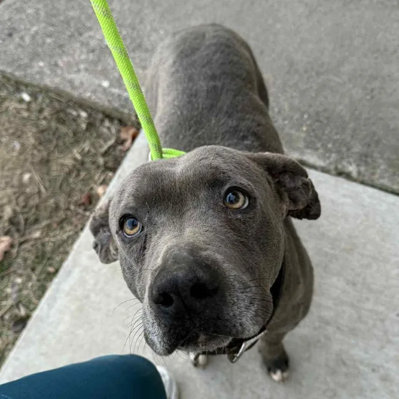 Delightful Derek thumbnail 3