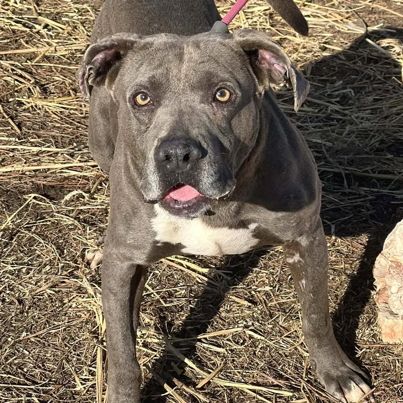 Delightful Derek thumbnail 4