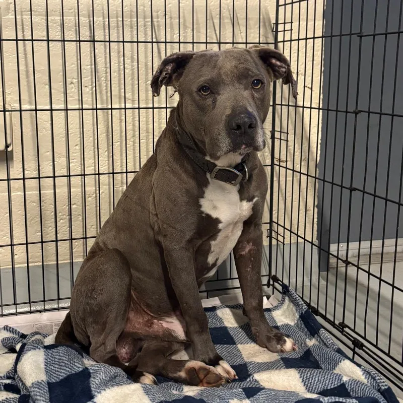 Delightful Derek thumbnail 5