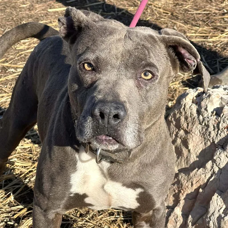 Delightful Derek thumbnail 6