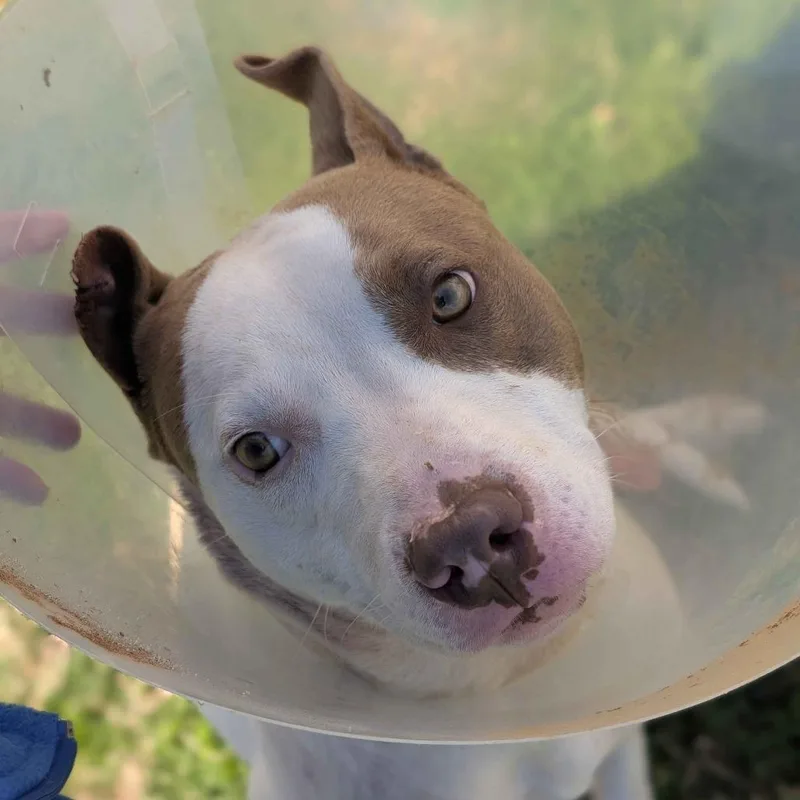 Powerball thumbnail 2