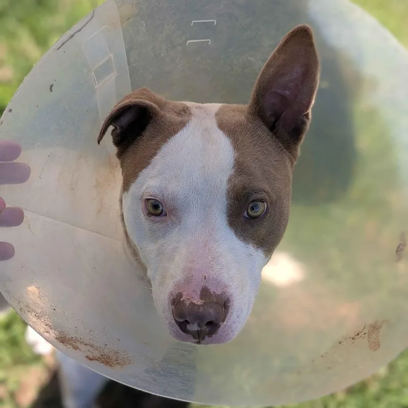 Powerball thumbnail 6