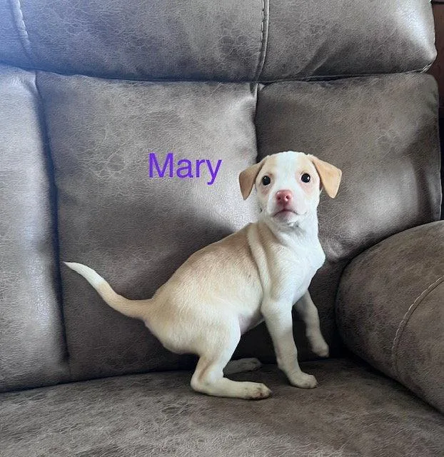 Mary thumbnail 2