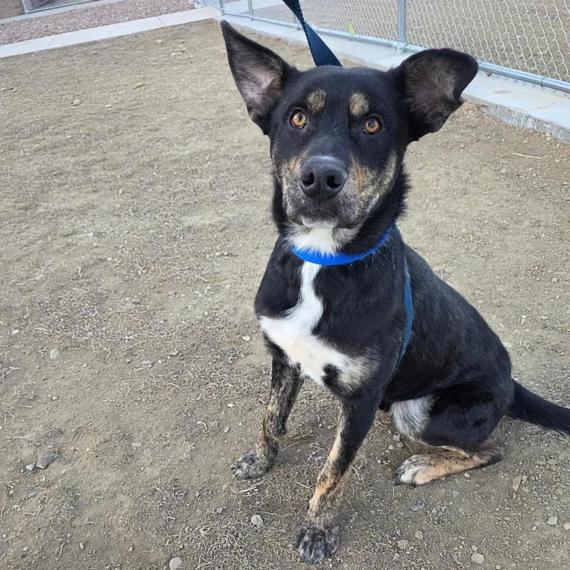 Hercules thumbnail 3