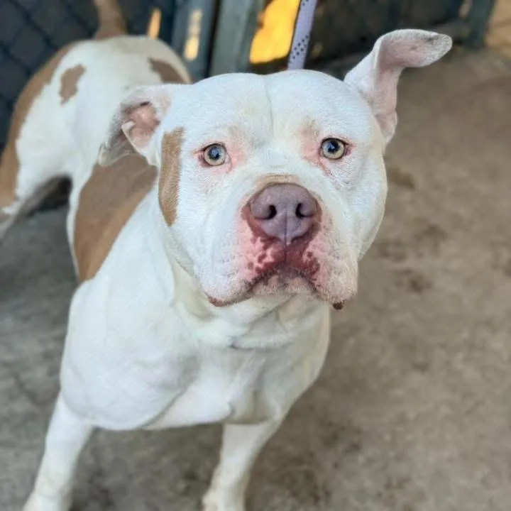 Wrecker ~ Coming Soon!!!