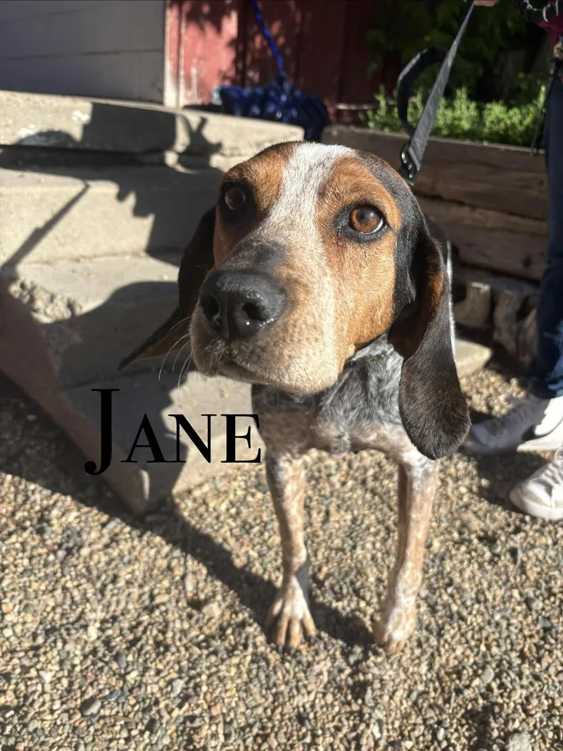 Jane Doe