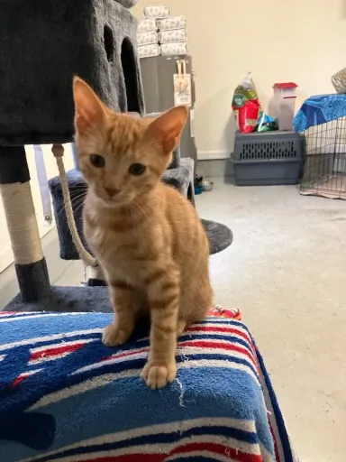 Ziggy.  Of The thumbnail 4