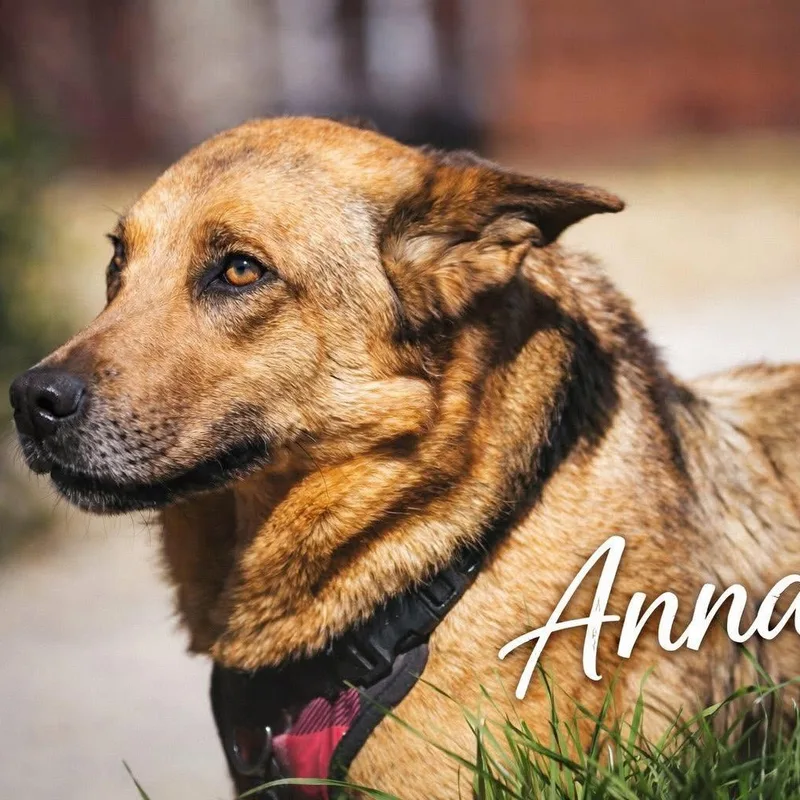 Anna thumbnail 4