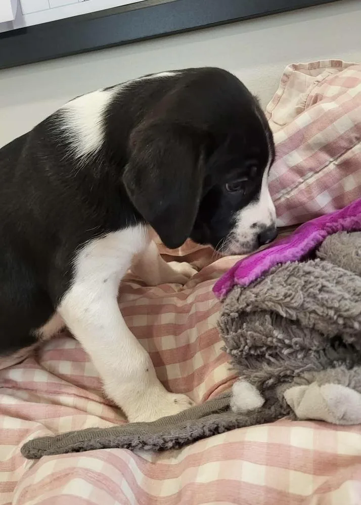 Long Johns thumbnail 2