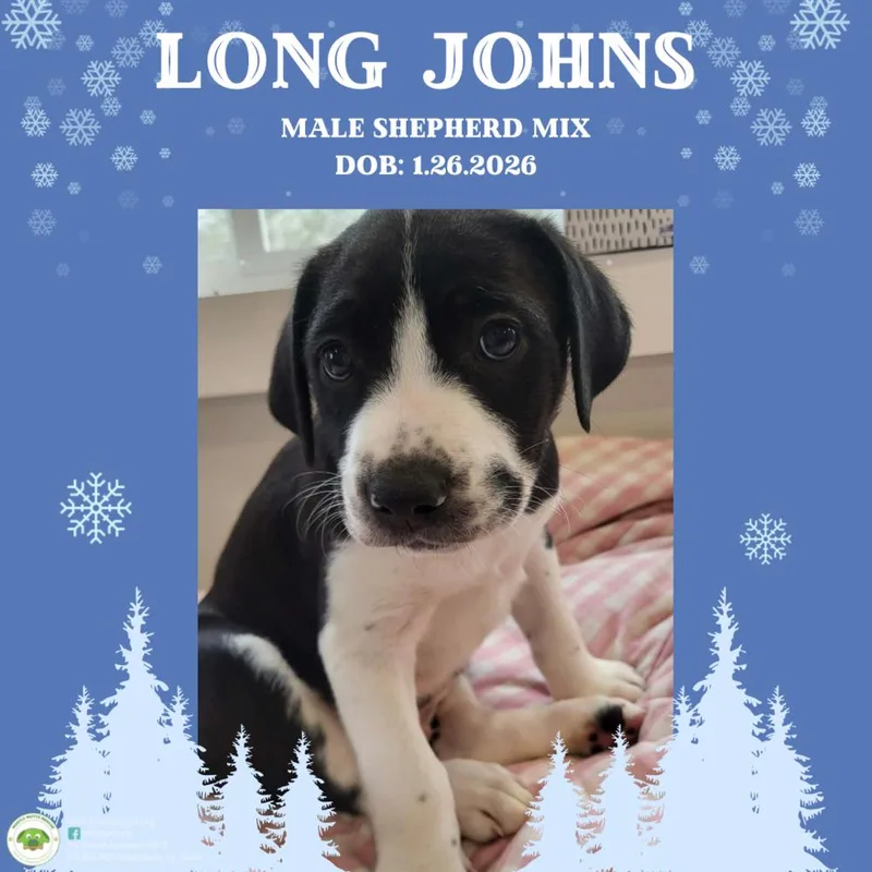 Long Johns thumbnail 3