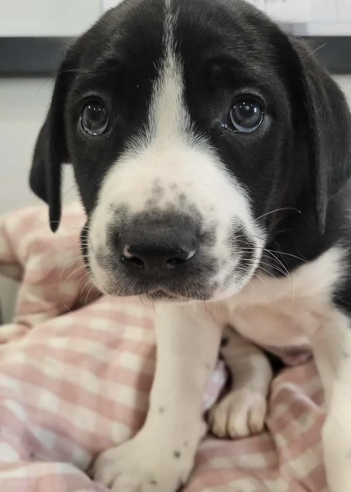 Long Johns thumbnail 5