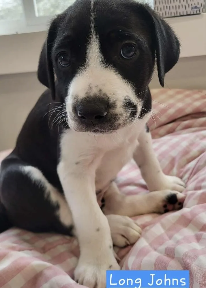 Long Johns thumbnail 6