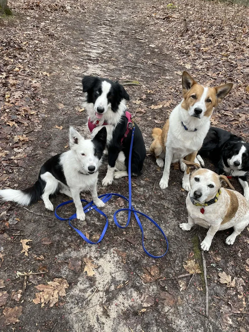 Jimmy Dugan thumbnail 3