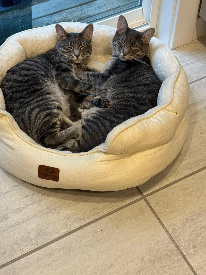 Steve & Martin
