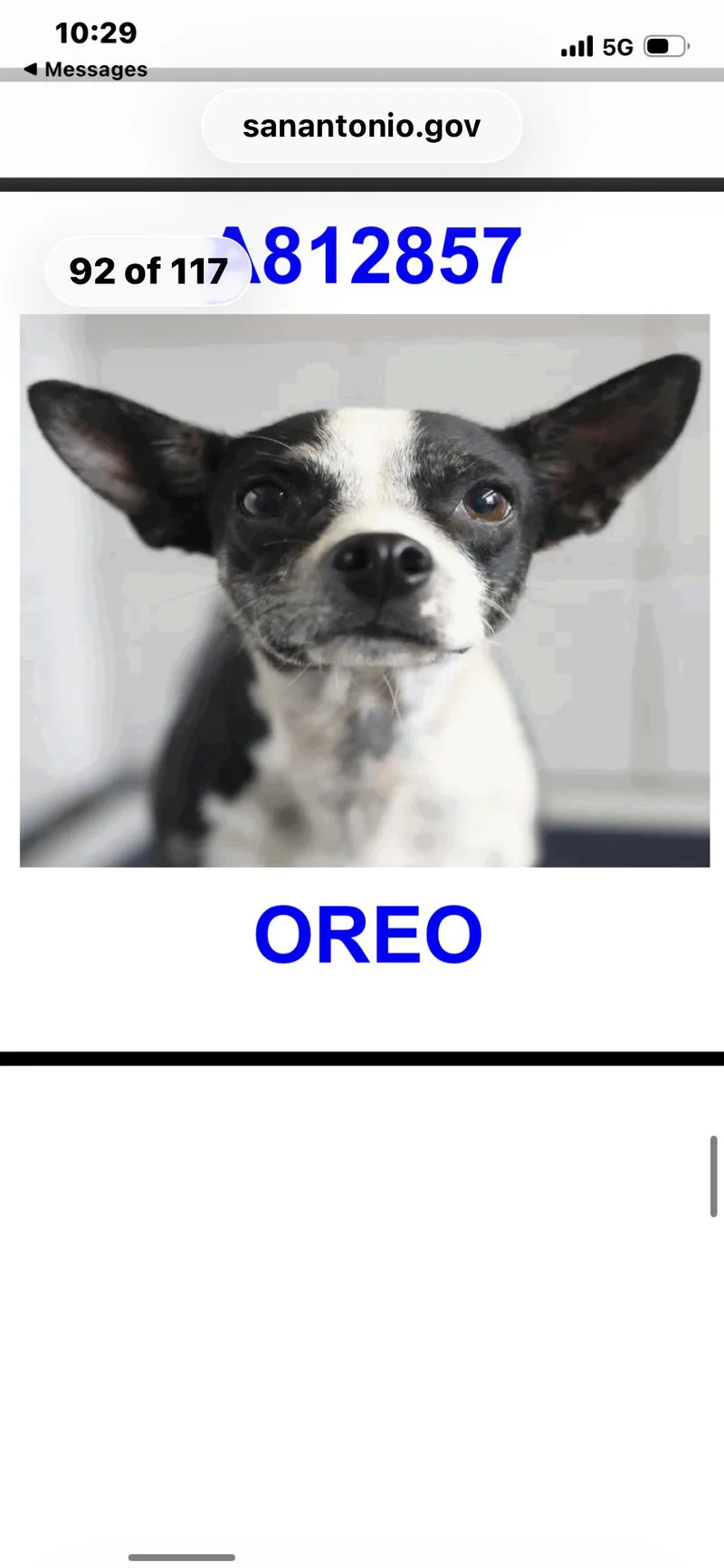 Oreo thumbnail 4