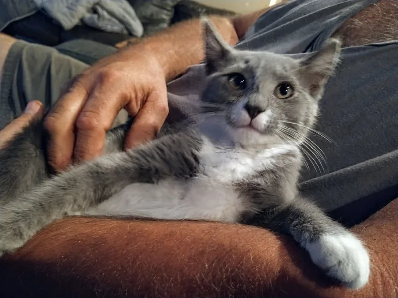 Gumby Oban thumbnail 4