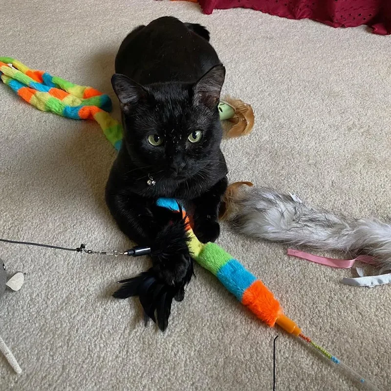 Nyx