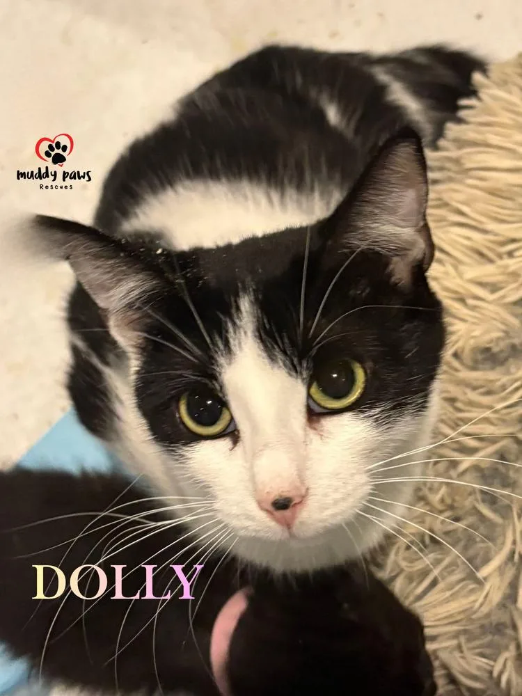 Mama Dolly thumbnail 4