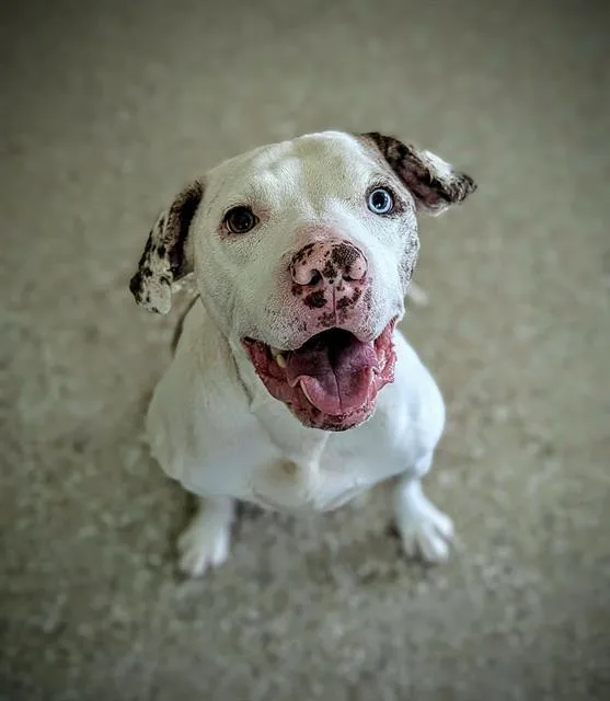 Rubix