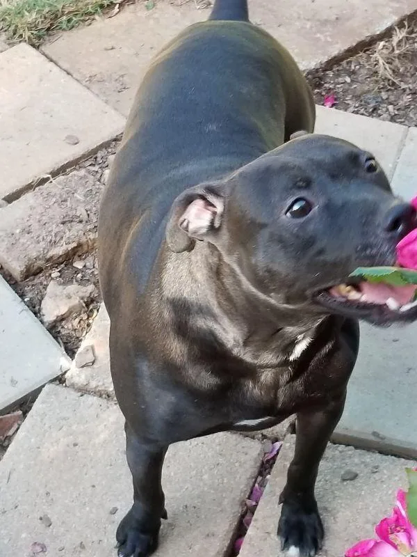 Mercedes thumbnail 2