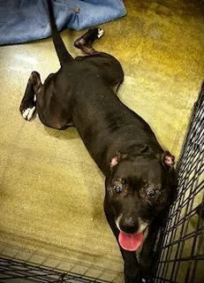 Mercedes thumbnail 3