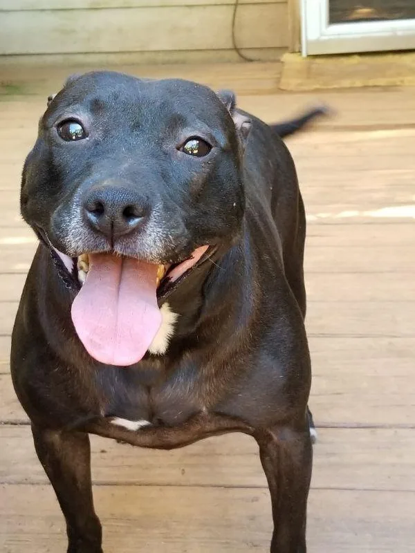 Mercedes thumbnail 4