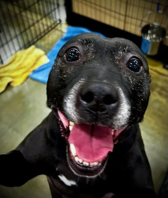 Mercedes thumbnail 5