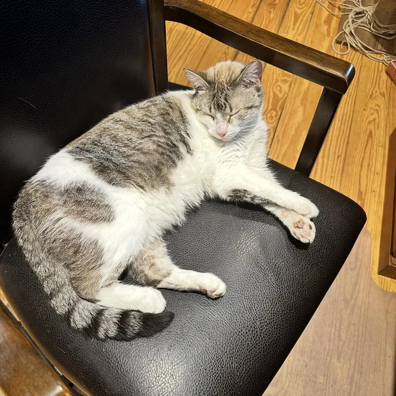 Marshmellow thumbnail 3