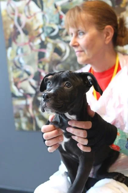 Adrock thumbnail 3