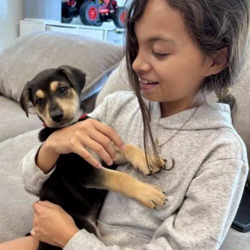 Charcuterie Litter thumbnail 2