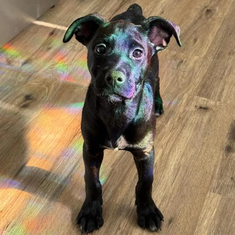 Cascade thumbnail 6