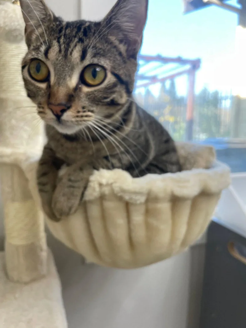 Strawberry & Banana thumbnail 2