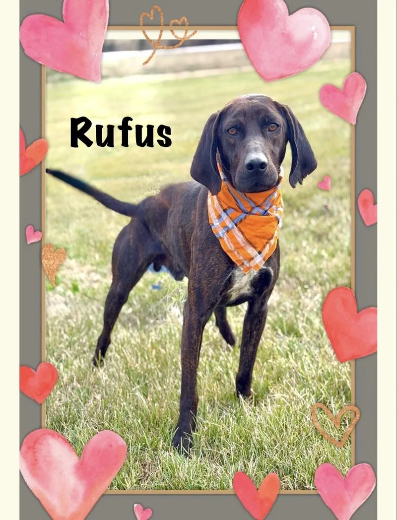 Rufus