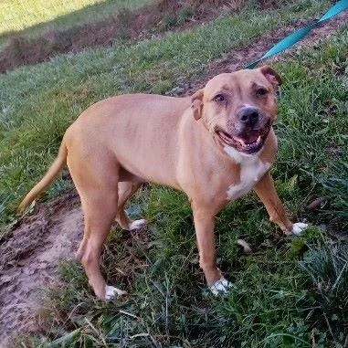 Charlotte thumbnail 2