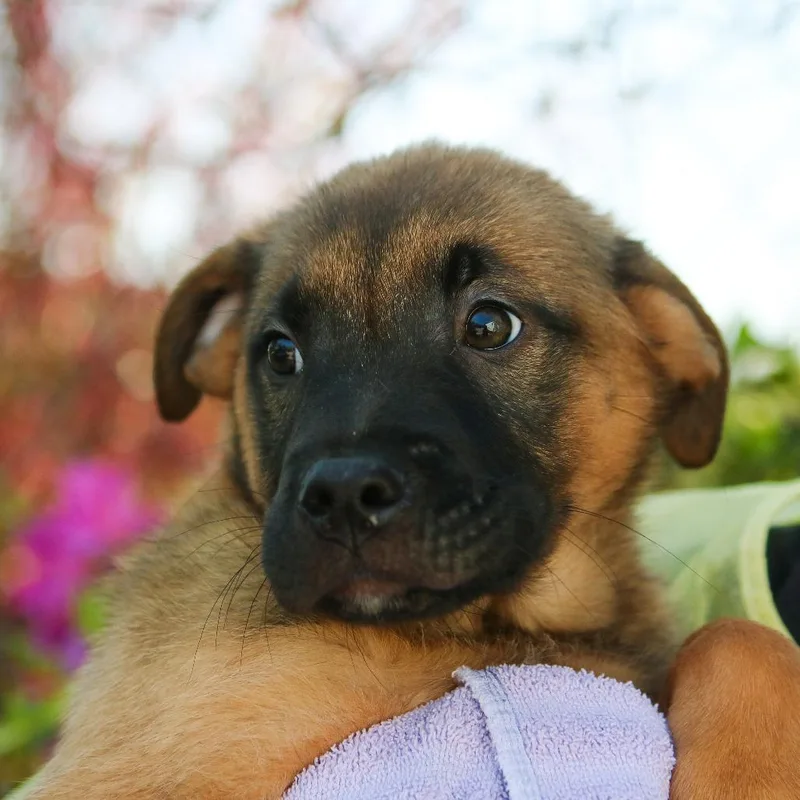 The Situation thumbnail 2