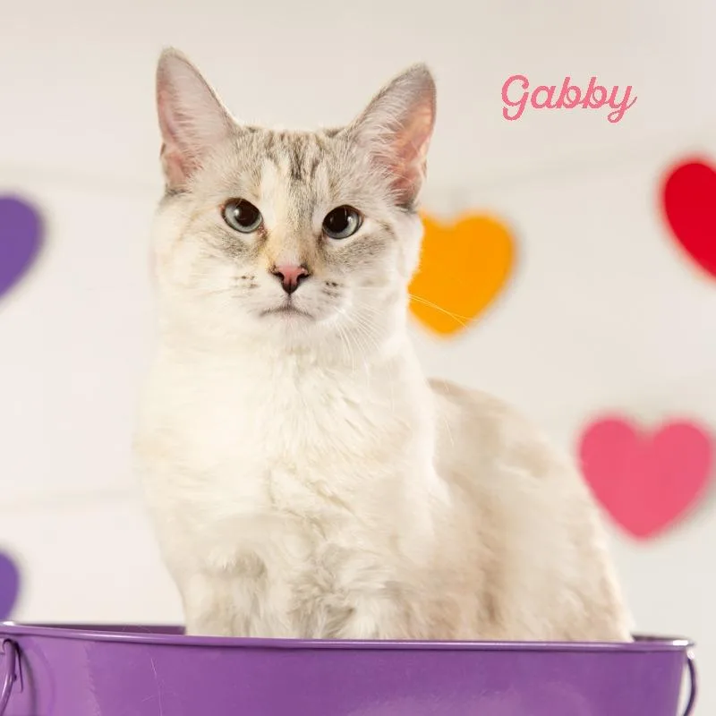 Gabby thumbnail 2